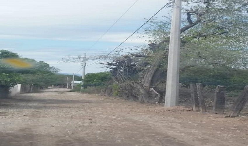 Queda lista ampliación de red eléctrica del ejido Guillermo Zúñiga