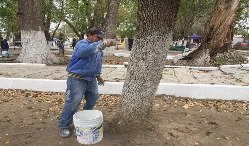 El alcalde municipal Reyes Wenseslado Zúñiga Vázquez, Pintan espacios públicos.